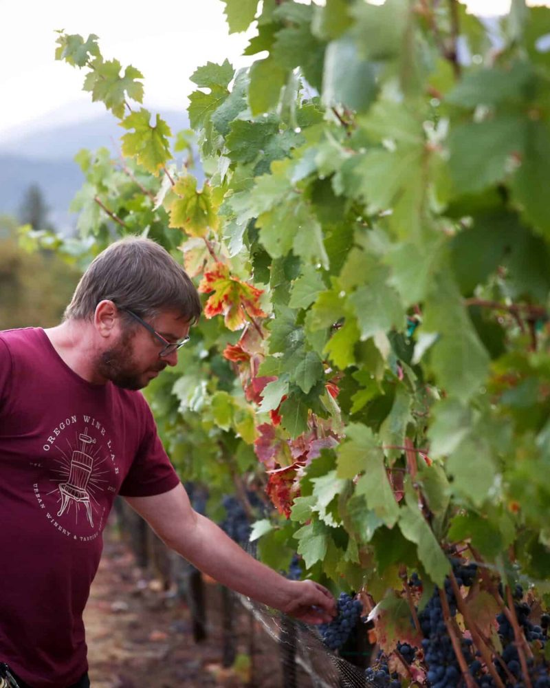 OWNER - WINEMAKER Mark Nicholl - Oregon Wine LAB - wine jobs Oregon